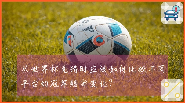 买世界杯竞猜时应该如何比较不同平台的冠军赔率变化？